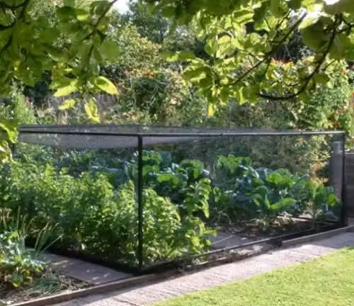 Marco Paul Black Plastic Bird Netting for Vegetable Gardens, W: 2 m, L: 20 m – 2