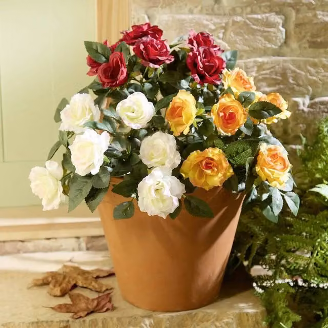 Coopers of Stortford Artificial Rose Picks, Set of 3, Multicolour, Height: 30 cm