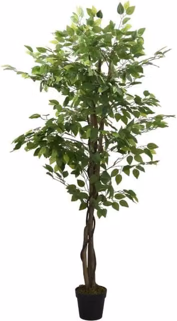 Berkfield Home Artificial Ficus Tree in Green, Height: 150 cm
