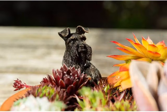 Jardinopia Antique Bronze Schnauzer Pot Buddy Hanging Plant Pot – 1