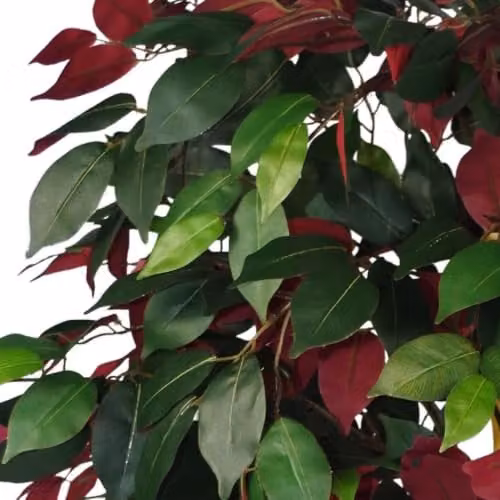 Leaf Design UK Realistic Artificial Ficus Tree in Red and Green, Height: 120 cm – 2