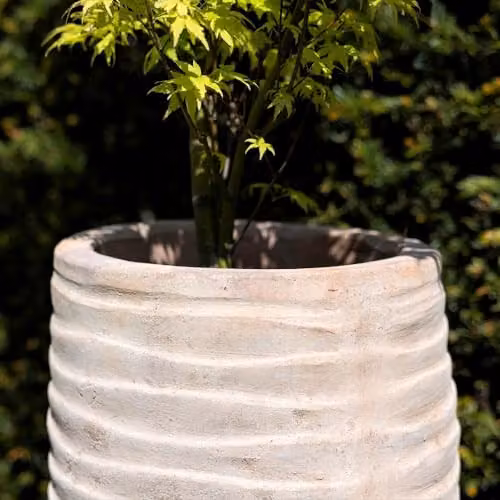 Primrose Tall Round Ribbed Terracotta Planter in Beige, Height: 59 cm – 3