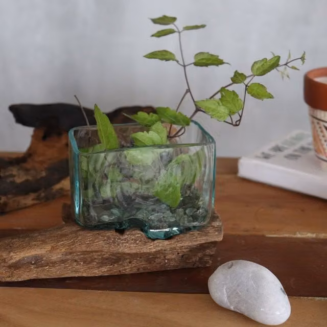 KDMK Turquoise Molten Glass Bowl with Rustic Wood Stand