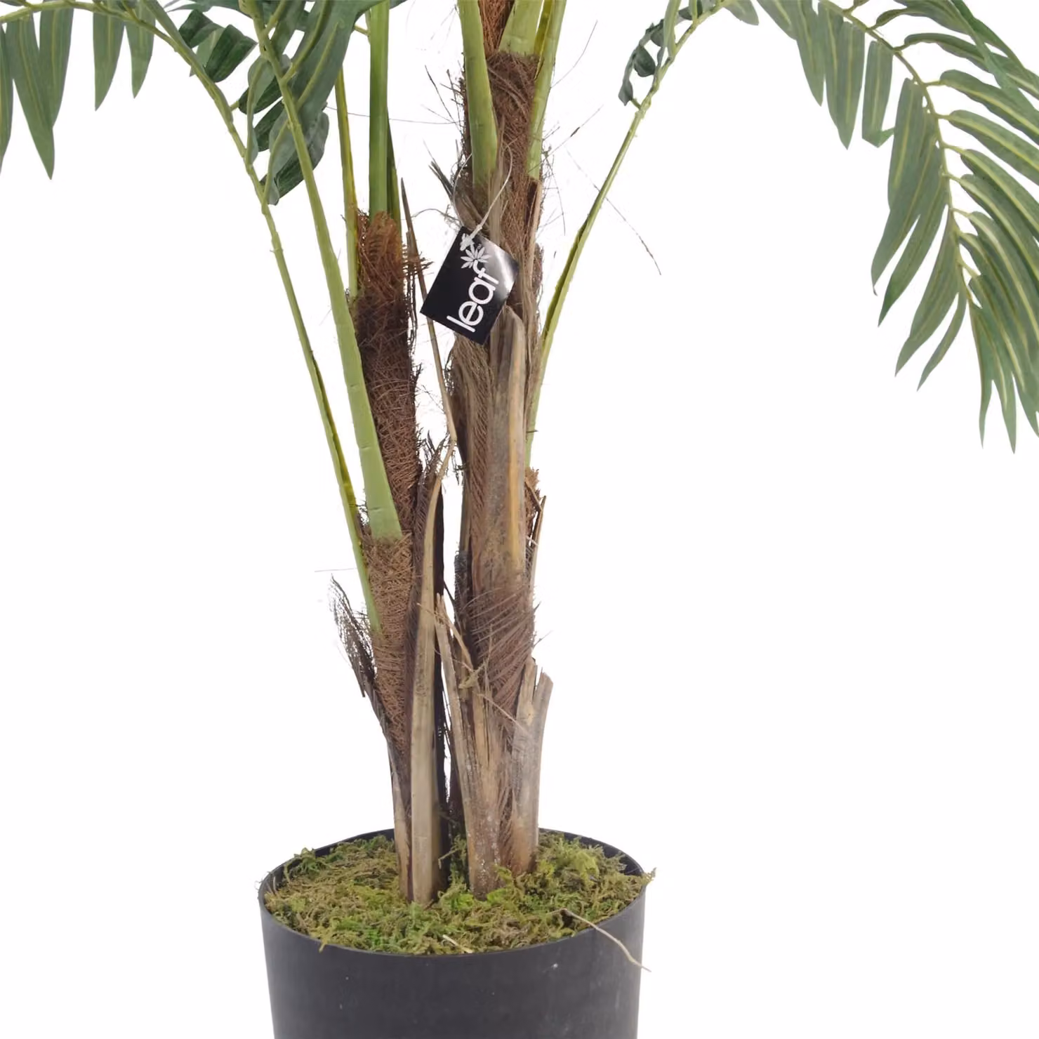 Leaf Realistic Botanik Premium Artificial Green Palm Tree with Pot, Height: 120 cm – 2