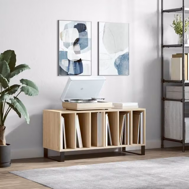 Berkfield Home Record Cabinet in Sonoma Oak Brown, W/D/H: 100 x 38 x 48 cm