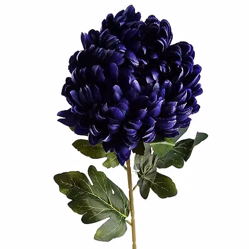 Leaf Artificial Extra Large Reflex Chrysanthemum Stem Flowers in Purple, Height: 75 cm – 5