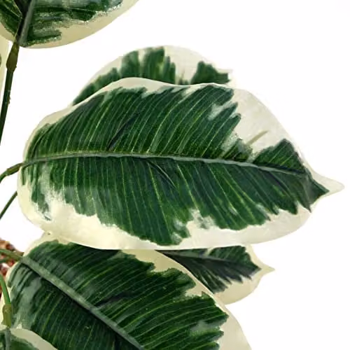 Leaf Design UK Potted Variegated Pothos Artificial Foliage Plant in Green with Concrete Pot, H 40 cm x W 35 cm x D 35 cm – 2