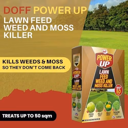 Doff Power Up Lawn Feed, Weed and Moss Killer Granules, 1.6kg – 2