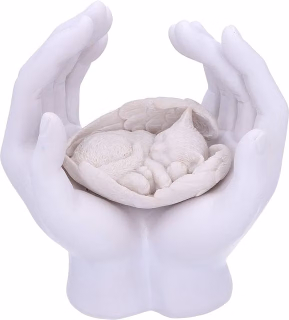 Nemesis Now Forever Feline Angelic Cat Figurine, White, Height: 18 cm