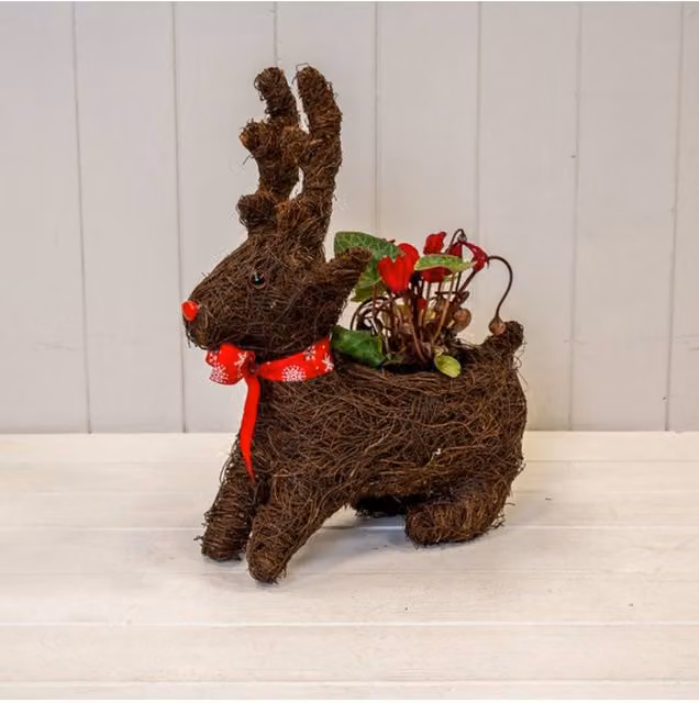 KDMD Sitting Reindeer Planter with Christmas Scarf in Dark Brown