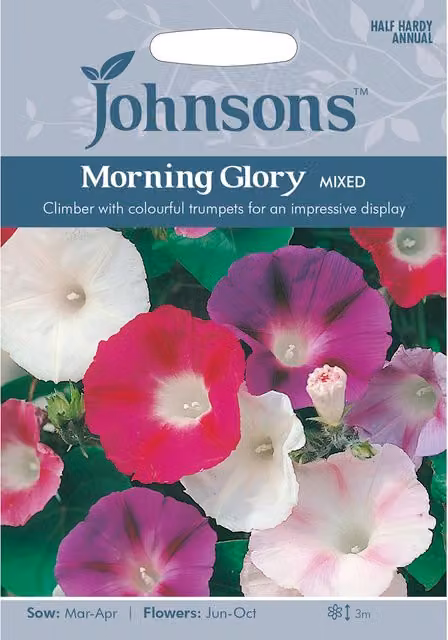 Johnsons Mixed Morning Glory Multicolour Climbing Flower Seeds for Ornamental Gardens