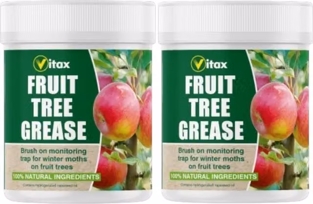 Vitax Fruit Tree Grease with Rapeseed Oil for Mechanical Pest Control
