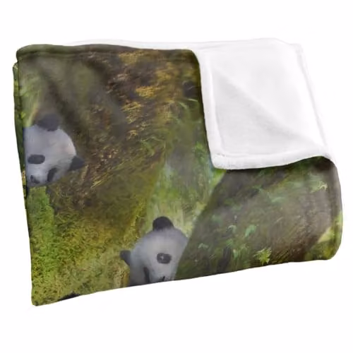 JQ Licensing Jlo Panda Family Flute Silky Touch Super Soft Fleece Throw Blanket, Multicolour, W/D/H: 91 x 147 cm – 2