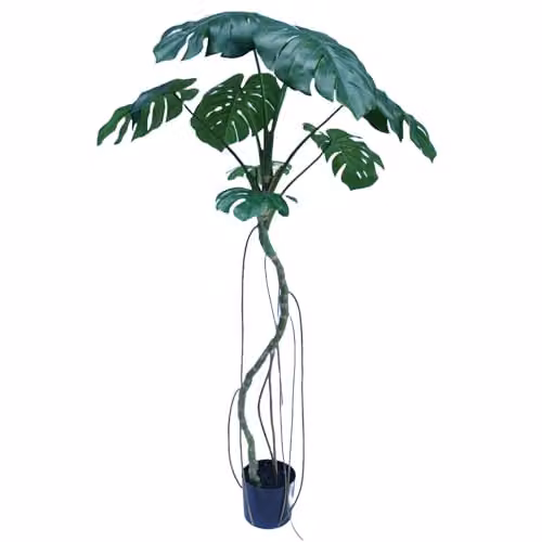 Botanik Green Artificial Monstera Plant Tree, H 180 x W 90 x D 90 cm – 3