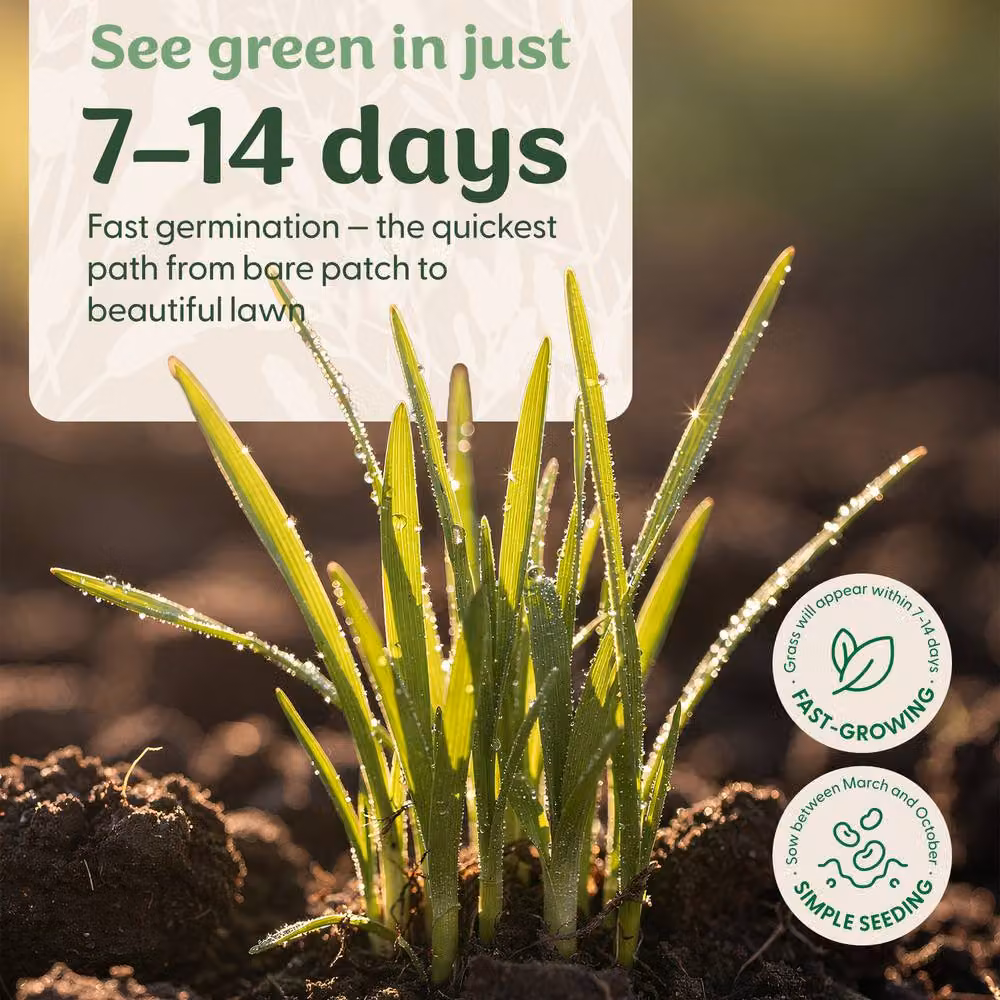 Foris Fast Growing Lawn Seed, 7kg – 2