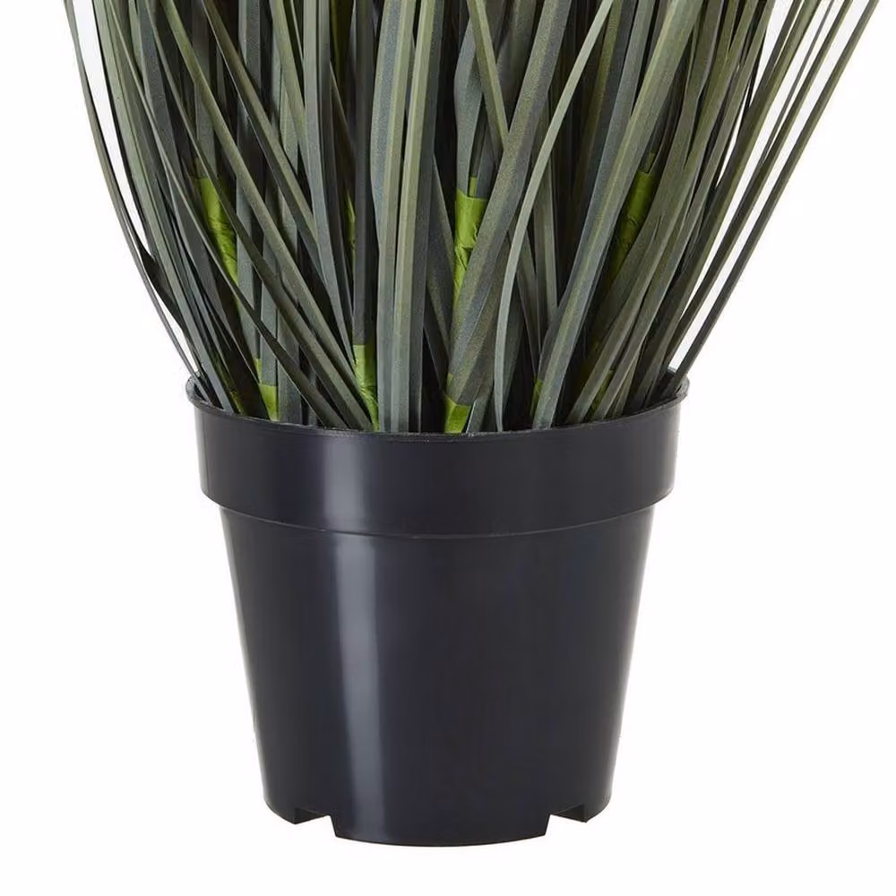 Lemon Pavilion Large Meadow Plant in Pot, White, Height: 150 cm – 3