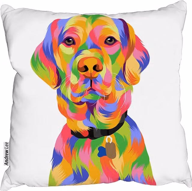 Benjamin Tate Design LTD Amazing Illustration Pop Art Outdoor Cushion, Red and Multicolour, W/D/H: 60 x 60 x 60 cm