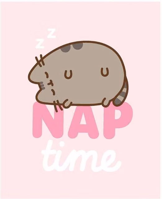 Pusheen Nap Time Pink Fluffy Fleece Blanket, W: 160 cm, D: 130 cm