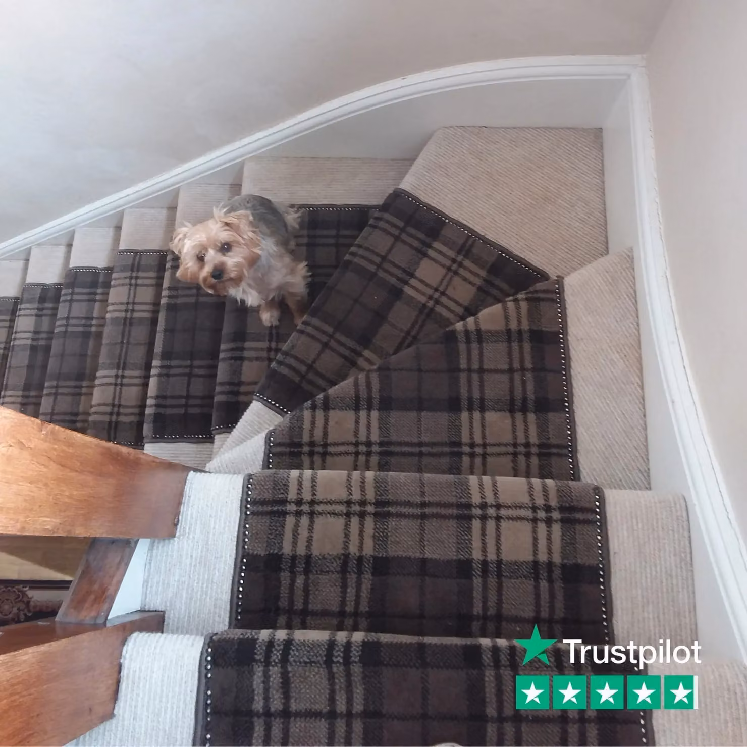 runrug Brown Checked Stair Runner Carpet, W: 60 cm, L: 570 cm – 5