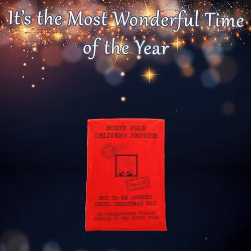 VFM e-Store Jumbo Red Felt Printed Christmas Sack, W: 60 cm, H: 90 cm – 3