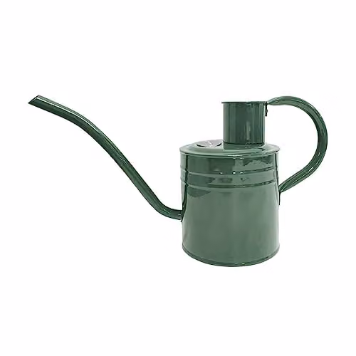 Kent & Stowe Indoor Watering Can, Green, 1 l