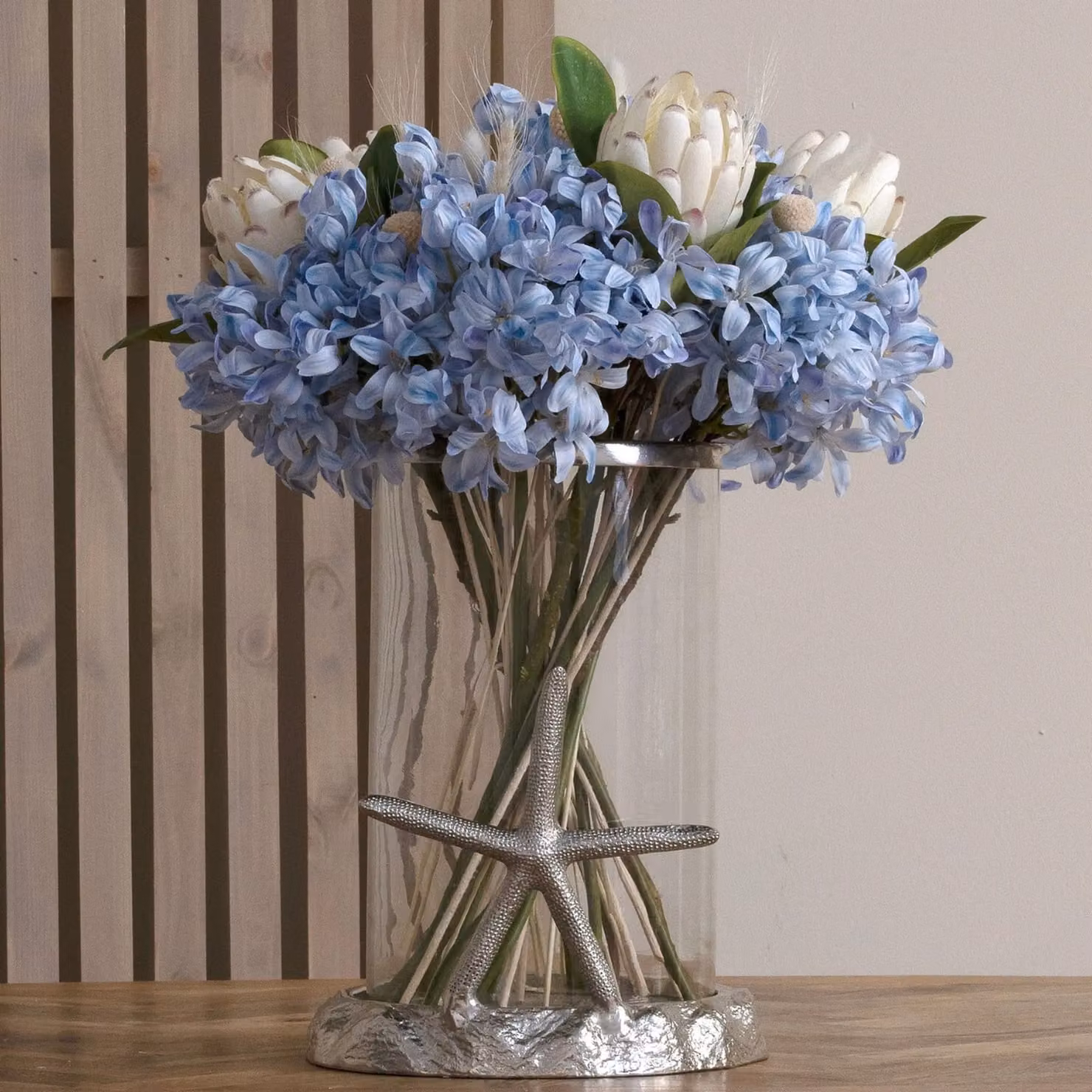 Love Lace Light Blue Large Headed Agapanthus – 2