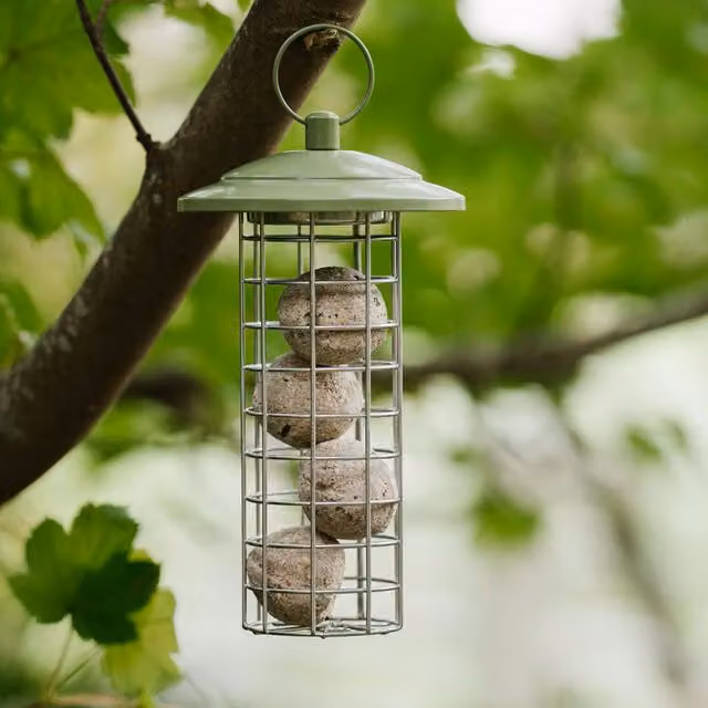 Peckish Canto Energy Ball Feeder in Green