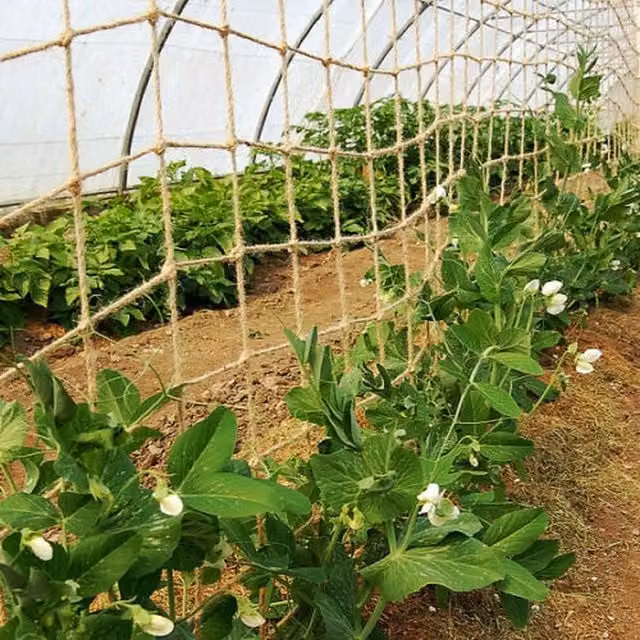 True Products Heavy Duty Natural Jute Pea Bean Netting, Brown, 25m, 100mm x 100mm Mesh Holes