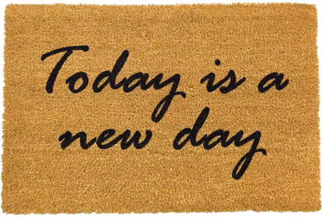 Artsy Mats Today is a New Day Brown Coir and Natural Rubber Non-Slip Weatherproof Doormat
