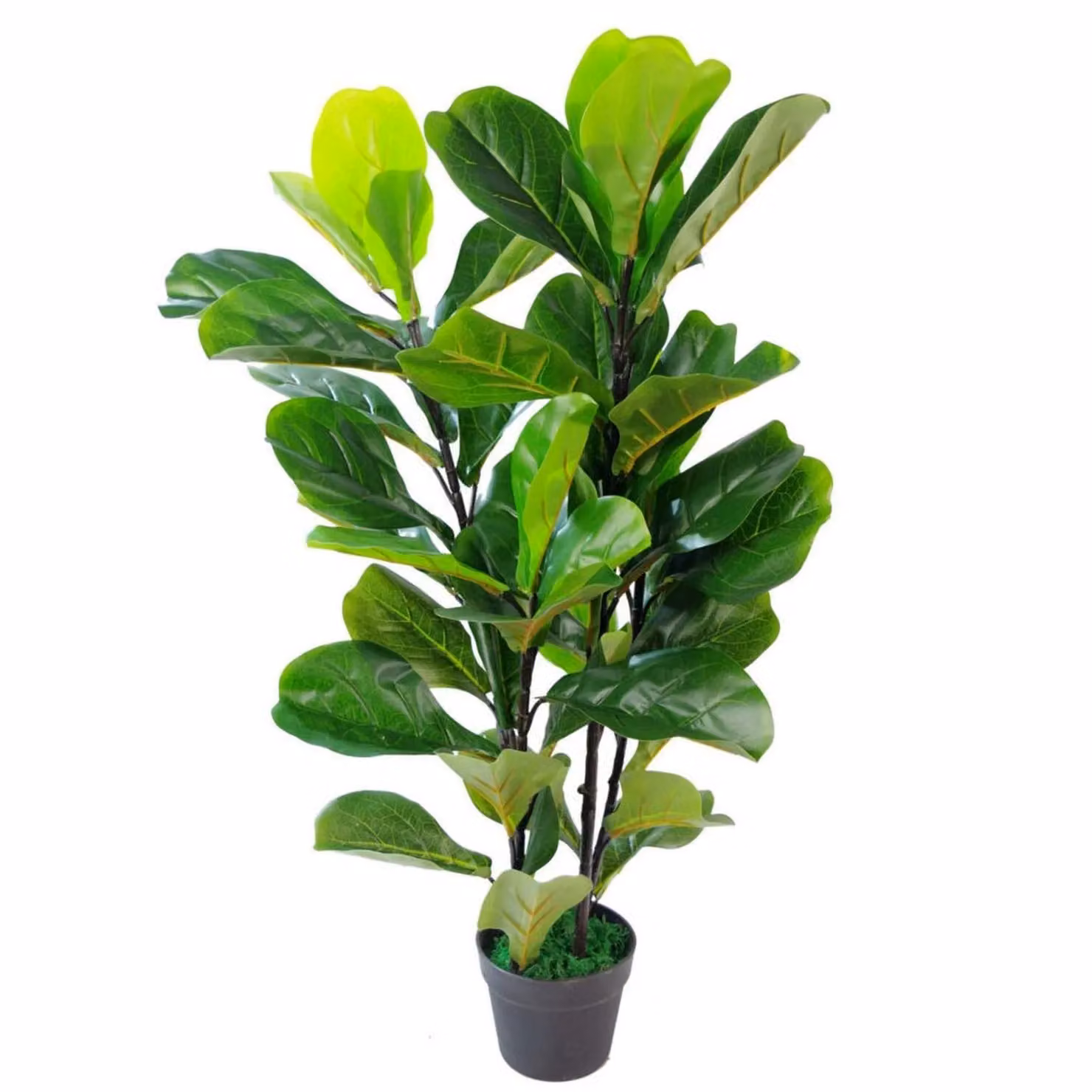 Leaf Design UK Realistic Artificial Fiddle Fig Tree, Green, Height: 90 cm – 3