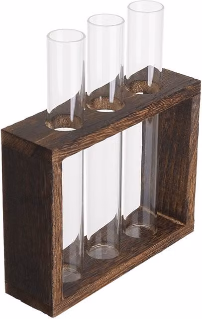 Livingandhome Set of 3 Transparent Glass Terrarium Planter Vases with White Wood Base