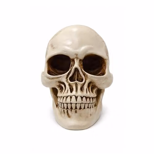 Voltico Realistic Resin Human Skull Ornament in Beige, W/D/H: 15.0 x 12.5 x 12.5 cm – 1