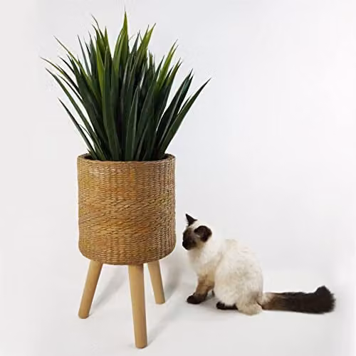 Leaf Design UK Large Rattan Effect Composite Planter, Dark Brown, W: 54 cm, D: 30 cm, H: 30 cm – 3