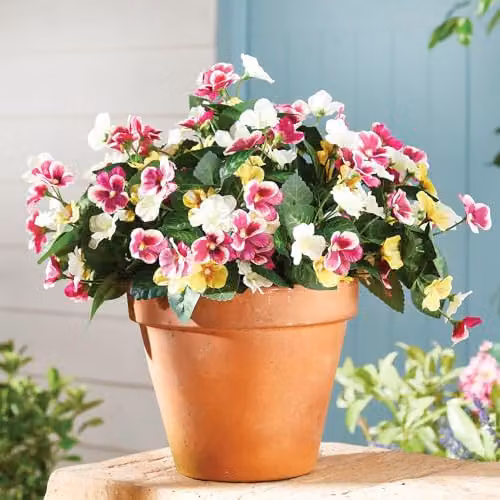 Coopers of Stortford Gainsborough Set of 3 Artificial Pansy Picks in Purple, Yellow and White, Height: 32 cm – 2