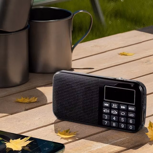 Livingandhome Portable FM Radio Speaker with 3.5 mm AUX and Headphone Jack, Black