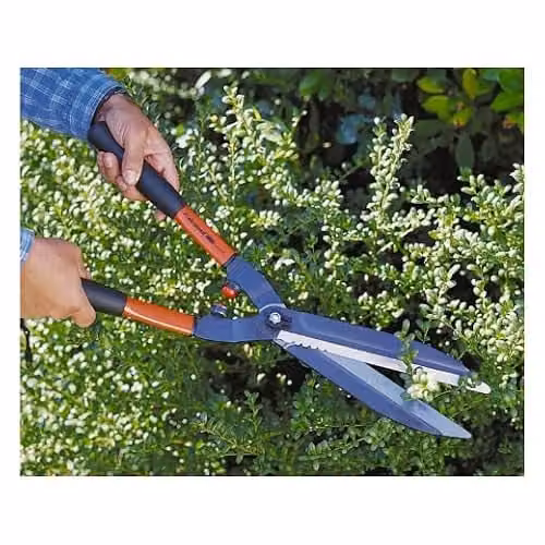 Bahco P51 Professional Manual Hedge Shears in Black – 2