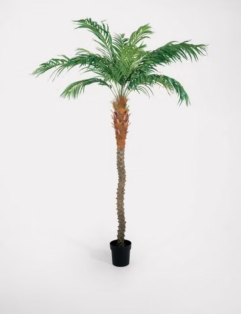 Blooming Artificial 8ft Phoenix Palm Tree in Pot, Green
