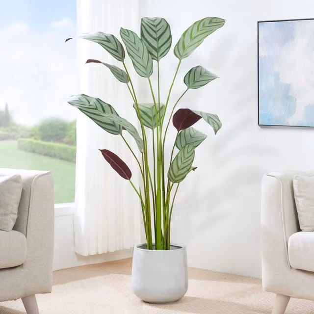 MCC Direct Artificial Bird of Paradise Tree in Multicolour and Green with Plastic Planter Pot, Height: 160 cm