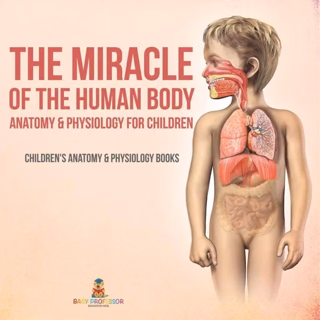 Baby Professor The Miracle of the Human Body: Anatomy and Physiology for Children, Multicolour