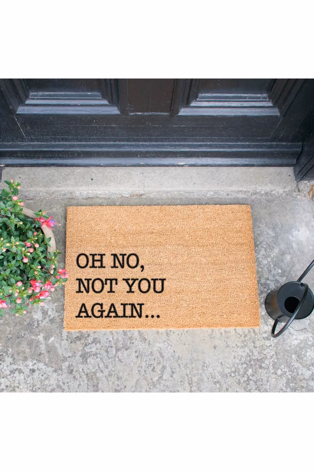 Artsy Mats Oh No Not You Again Doormat in Black, W/D: 60 x 40 cm – 3