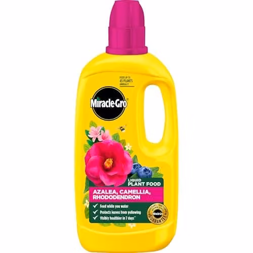 Miracle-Gro Ericaceous Liquid Plant Tonic, 0.8 l – 1