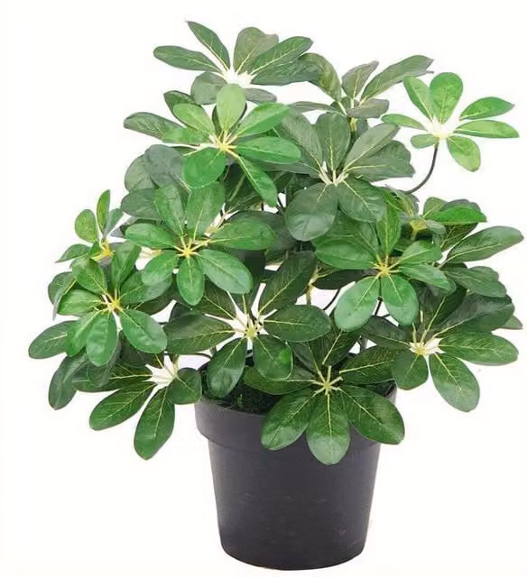 Green Artificial Potted Leaf Plant for Tabletop Display, Height: 30 cm