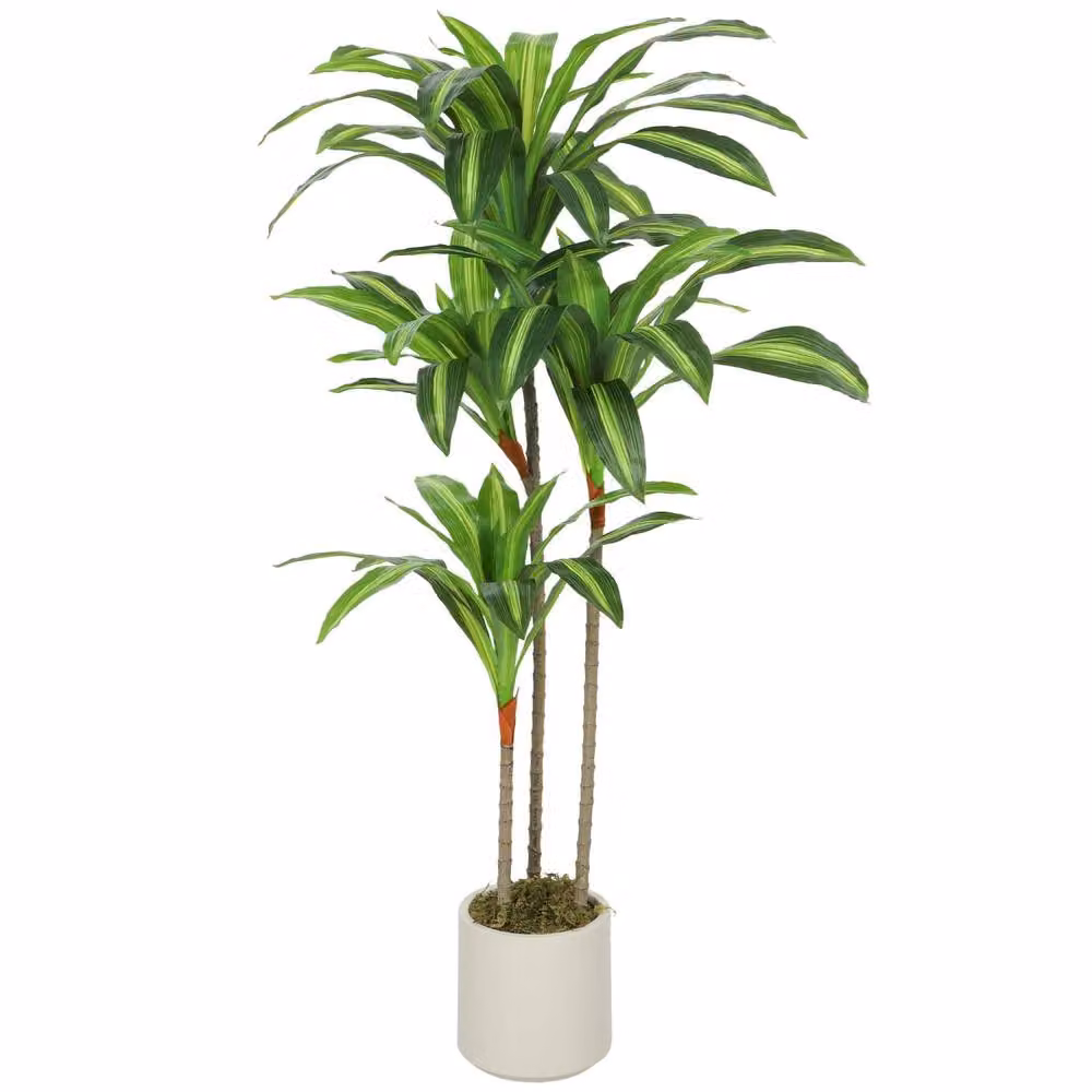 Wyld Haus Mivi 120cm Artificial Dracaena Tree in Green – 2