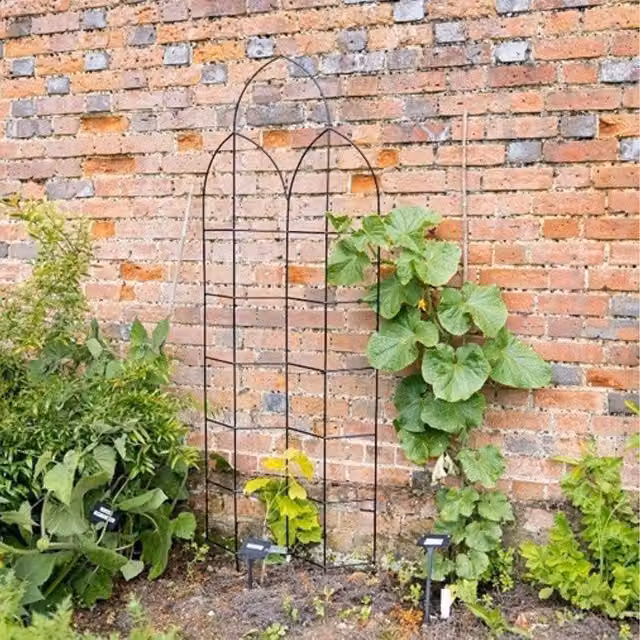 Primrose Black Metal Offset Spire Plant Trellis Support