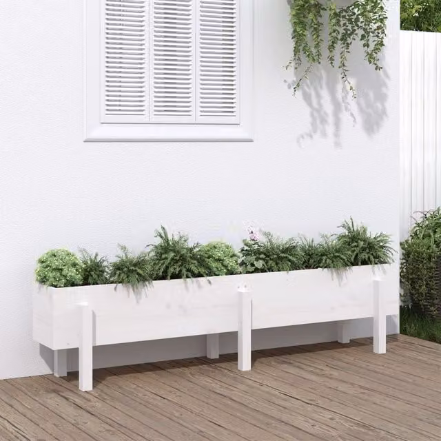 Berkfield Home Garden White Solid Wood Pine Raised Bed W: 160 cm, D: 30 cm, H: 38 cm – 1