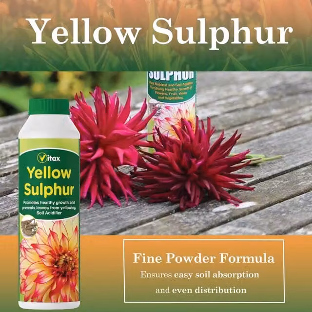 Vitax Yellow Sulphur Plant Tonic, 225 g