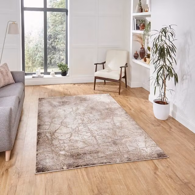 Terrys Modern Abstract Rectangular Rug in Beige and Silver, W: 120 cm x D: 170 cm