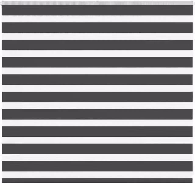 Berkfield Home Black Zebra Day and Night Blind with Polyester Fabric, W: 165 cm, H: 100 cm