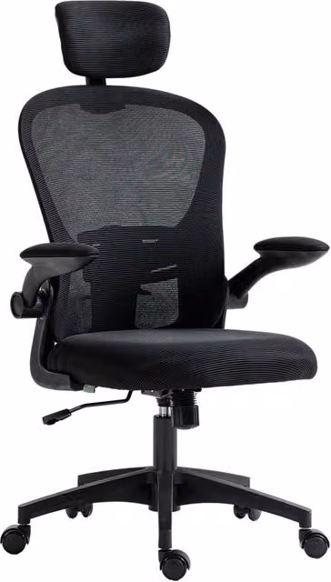 Rolipo Black Mesh Task Chair with Headrest, Lumbar Support and Multi-Directional Armrests for Home Office