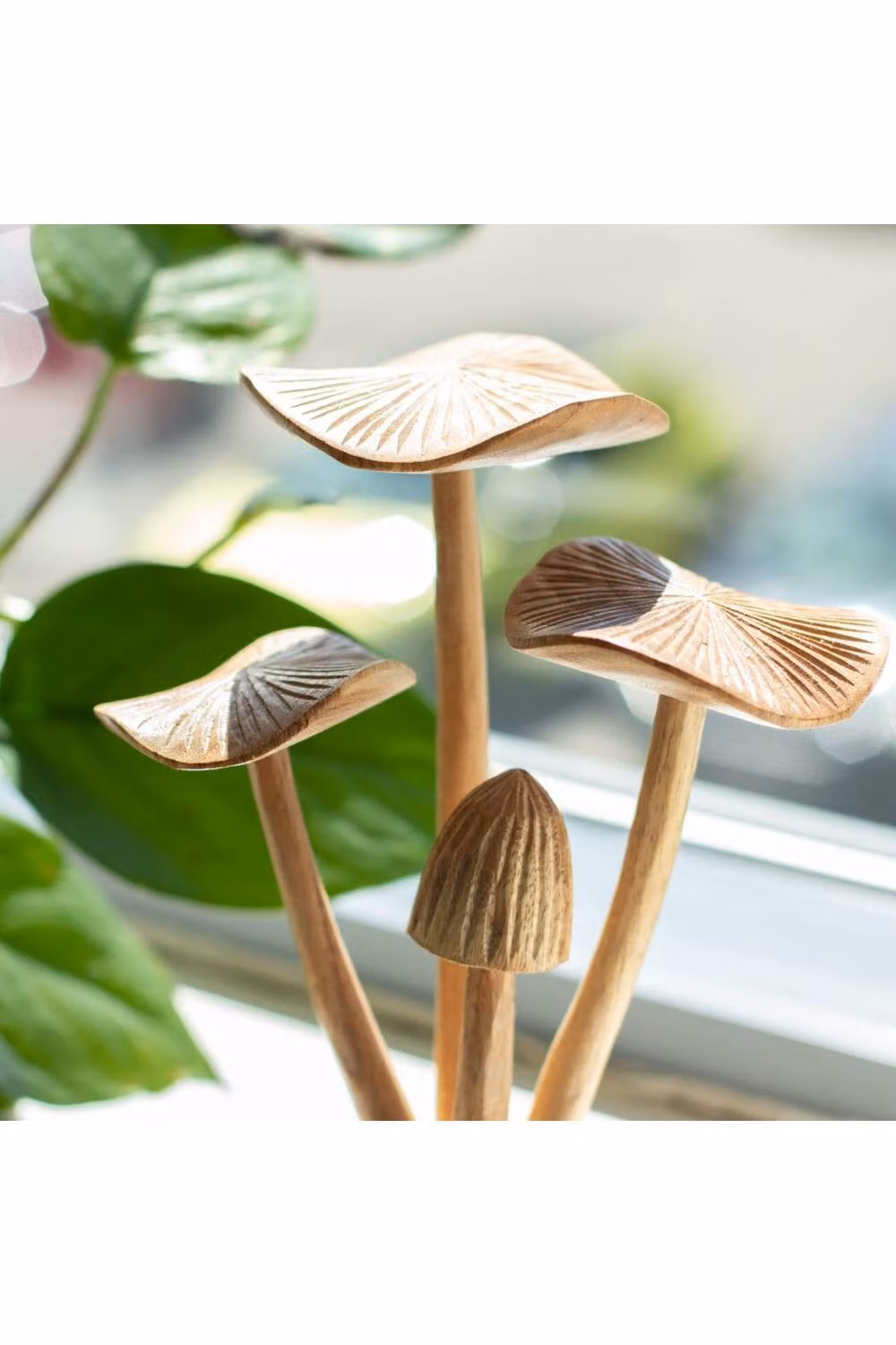 KDMD Set of 4 Rustic Carved Woodland Mushroom Figurines on Parasite Wood in Brown – 3